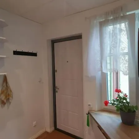 Cozy In Apartment Torva